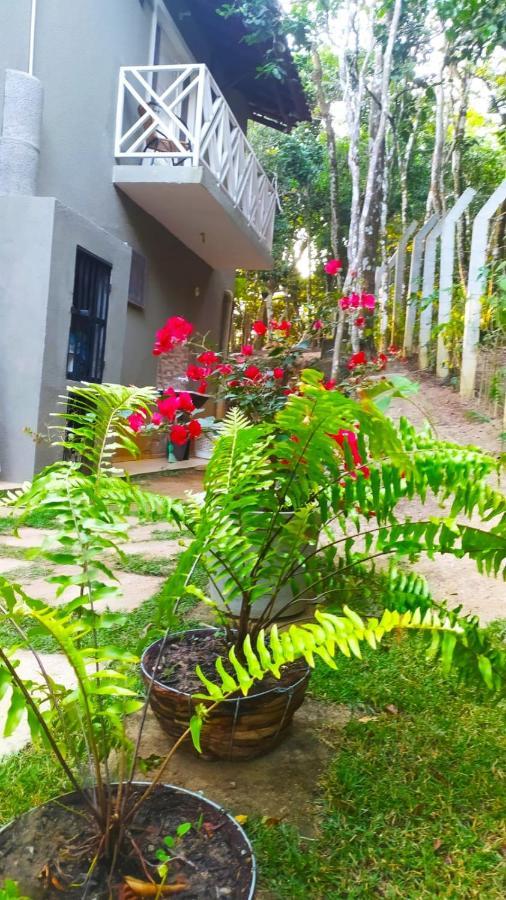 Vila Mulungu Casa Экстерьер фото